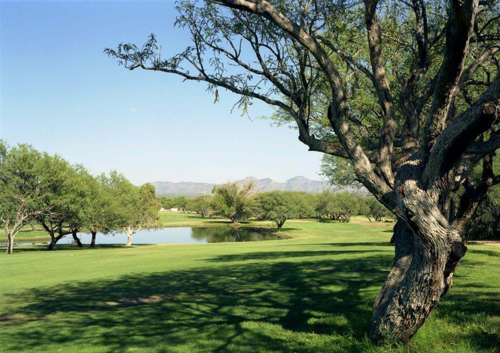 Esplendor Resort At Rio Rico Udogodnienia zdjęcie