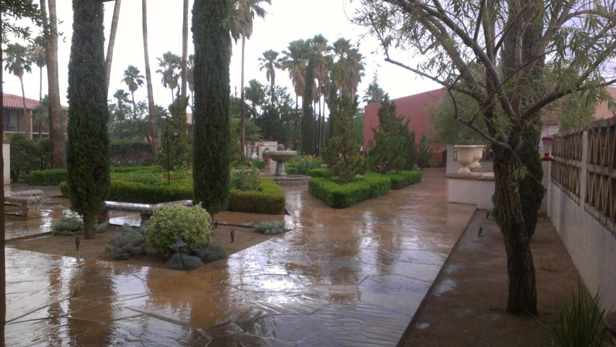 Esplendor Resort At Rio Rico Zewnętrze zdjęcie
